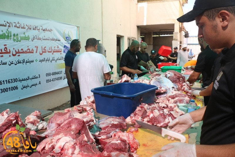 lod8om ada73y (116).JPG